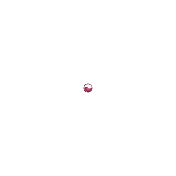 Domaine de La Chevalerie Bourgueil "Les Galichets" red 2010