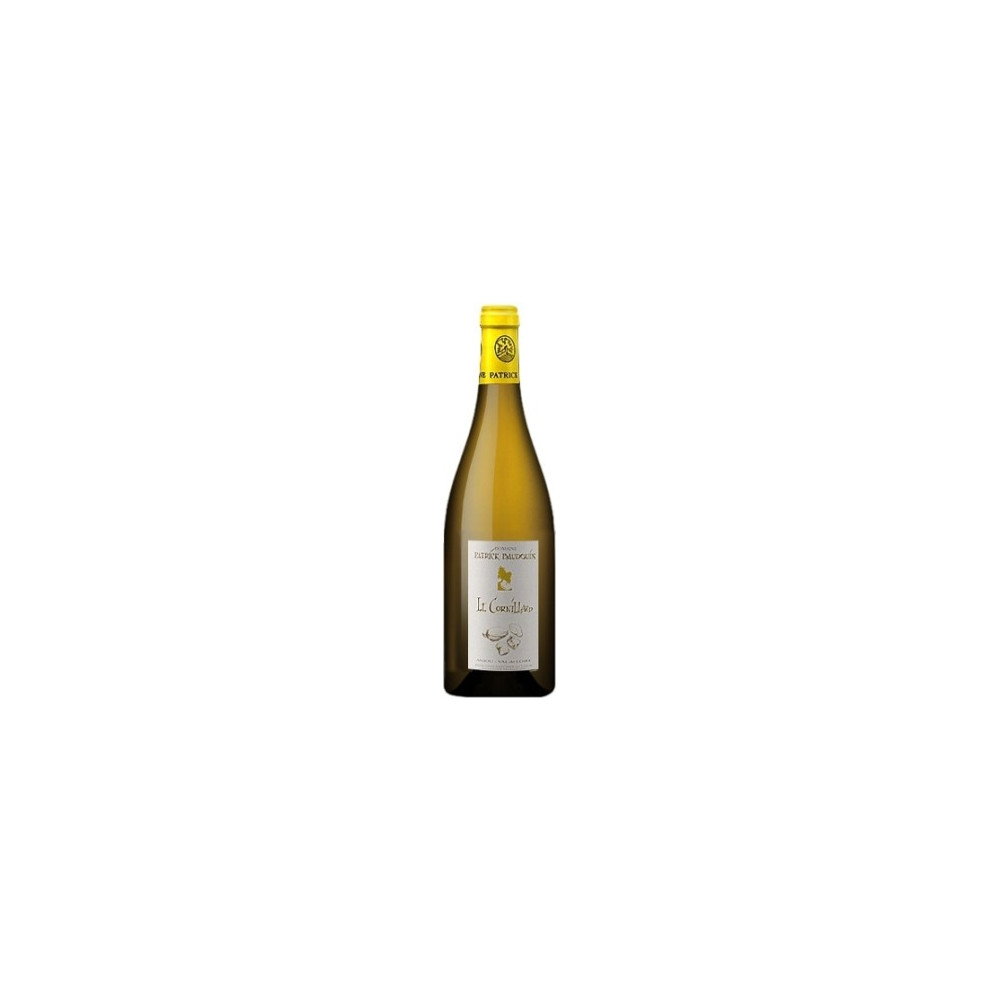 Domaine Patrick Baudouin "Le Cornillard" 2017