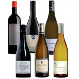 Discover Red and White Wines