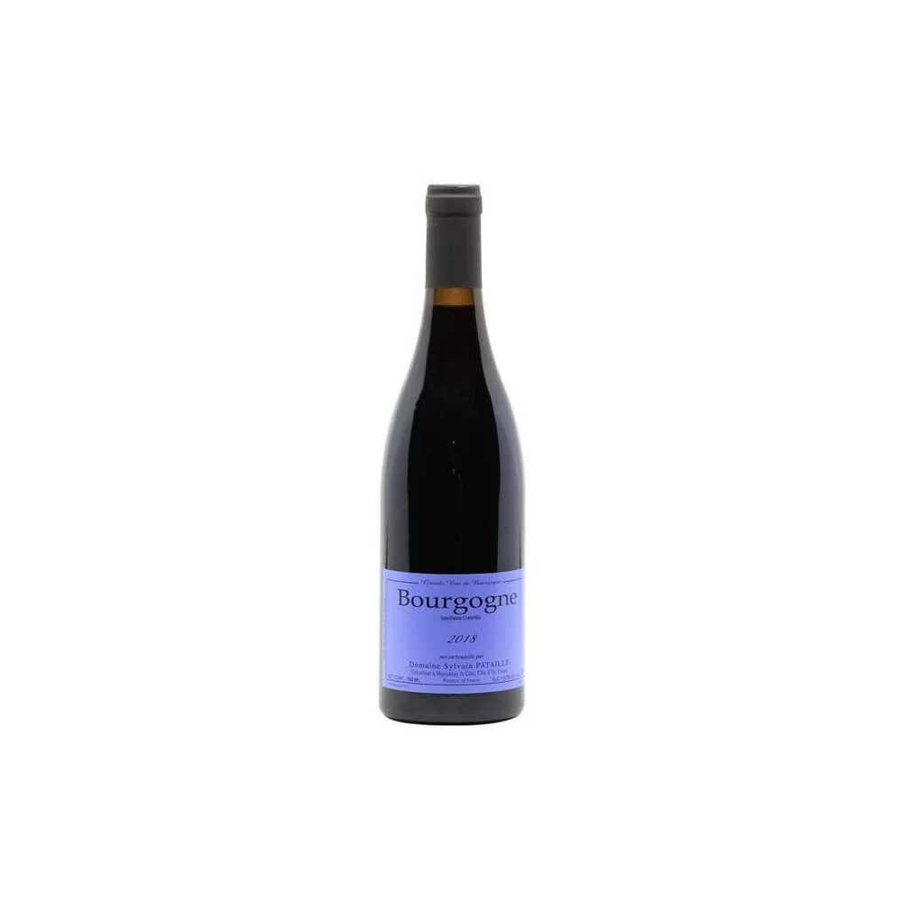 Domaine Sylvain Pataille Bourgogne rouge 2018 bouteille Domaine Sylvain Pataille Bourgogne rouge 2018 bouteille