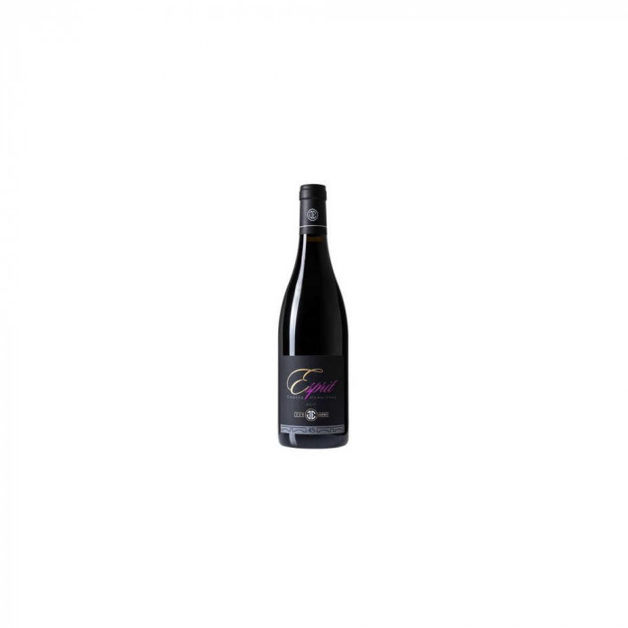 Domaine Jean Esprit Crozes Hermitage rouge 2019 bouteille Domaine Jean Esprit Crozes Hermitage rouge 2019 bouteille