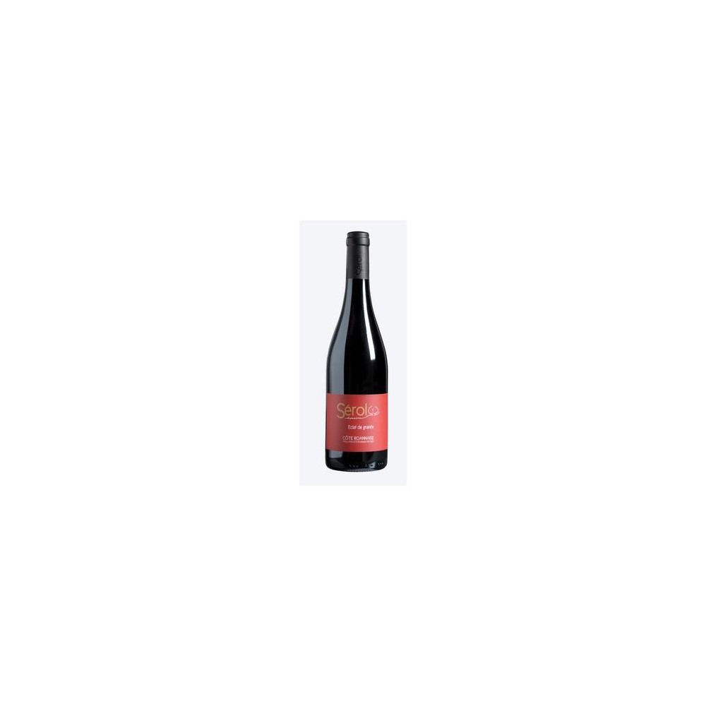 Domaine Sérol Côte Roannaise "Eclat de granite" rouge 2019 bouteille Domaine Sérol Côte Roannaise "Eclat de granite" rouge 2019 bouteille