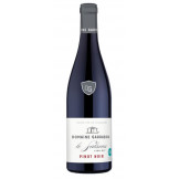 Domaine Garrabou "Le Salsous" (pinot noir) rouge 2020 bouteille