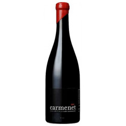 Domaine Cosse-Maisonneuve "Carmenet" rouge 2018 bouteille