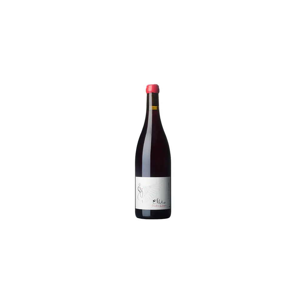 Domaine Jean Foillard Morgon "Elles" rouge 2018 Domaine Jean Foillard Morgon "Elles" rouge 2018