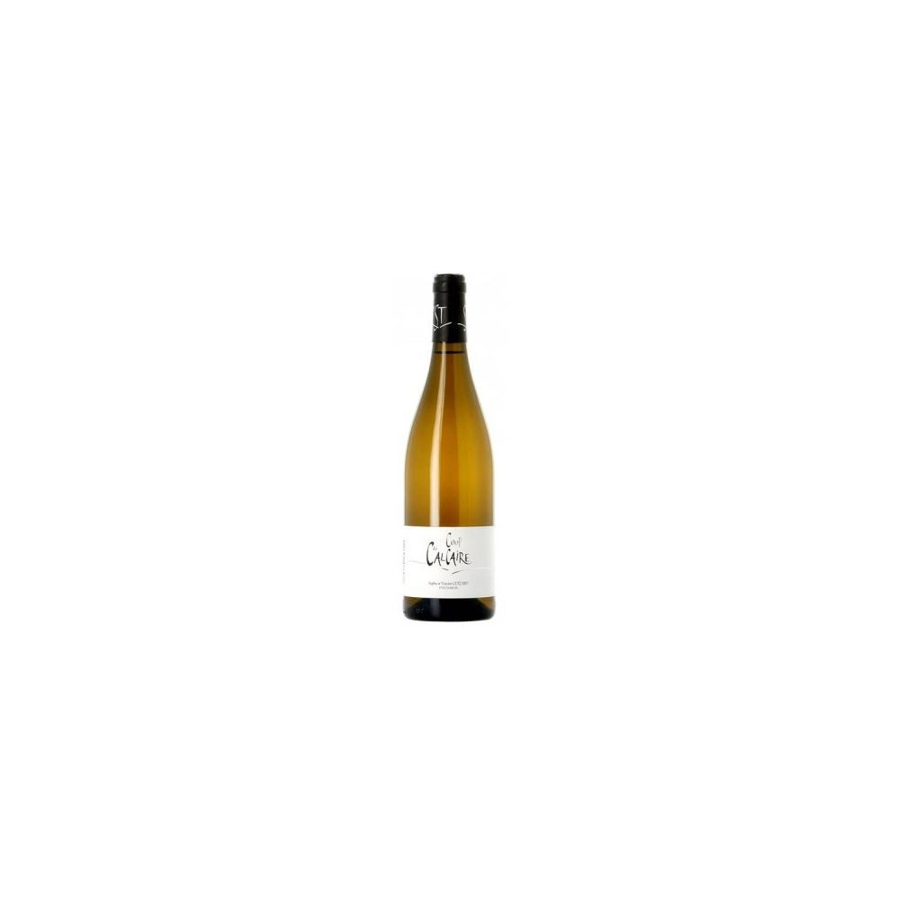 Domaine Saint Sylvestre "Coup de Calcaire" blanc 2020 bouteille Domaine Saint Sylvestre "Coup de Calcaire" blanc 2020 bouteille
