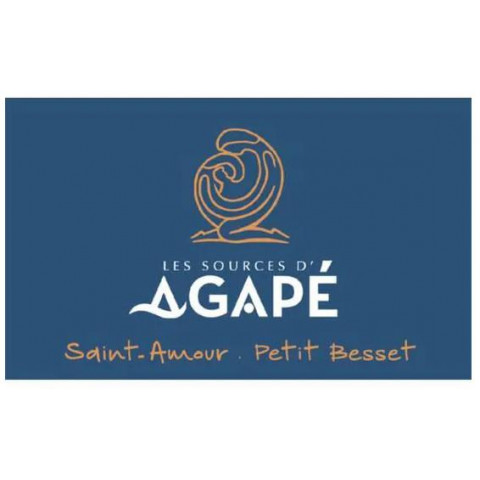 Les Sources d'Agapé Saint-Amour "Petit Besset" rouge 2019 bouteille 2