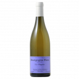 Domaine Sylvain Pataille Marsannay "Le Chapître" blanc 2019 bouteille