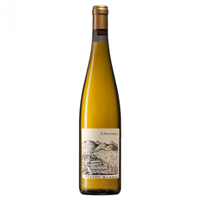 Domaine Trapet Riesling Grand Cru "Schoenenbourg" dry white 2014 Domaine Trapet Riesling Grand Cru "Schoenenbourg" dry white 2014