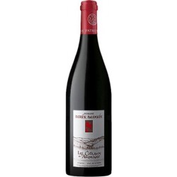 Domaine Patrick Baudouin Les Coteaux d'Ardenay rouge 2017 etiquette 2