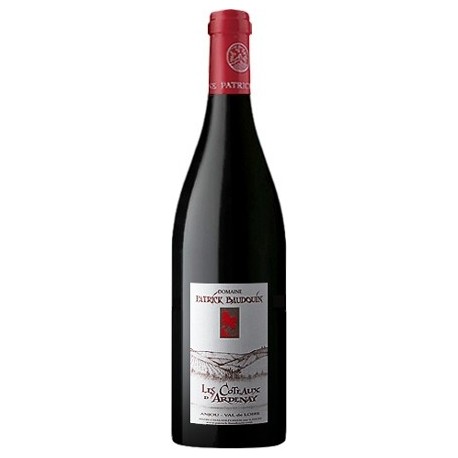 Domaine Patrick Baudouin Les Coteaux d'Ardenay rouge 2017 bouteille