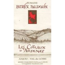 Domaine Patrick Baudouin Les Coteaux d'Ardenay rouge 2017 etiquette