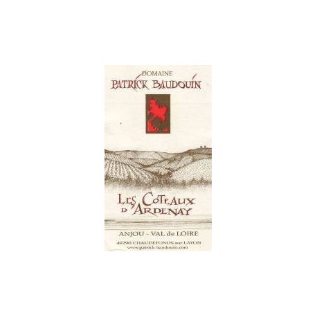 Domaine Patrick Baudouin Les Coteaux d'Ardenay rouge 2017 etiquette Domaine Patrick Baudouin Les Coteaux d'Ardenay rouge 2017 etiquette