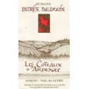 Domaine Patrick Baudouin Les Coteaux d'Ardenay rouge 2017 etiquette Domaine Patrick Baudouin Les Coteaux d'Ardenay rouge 2017 etiquette