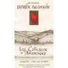 Domaine Patrick Baudouin Les Coteaux d'Ardenay red 2017