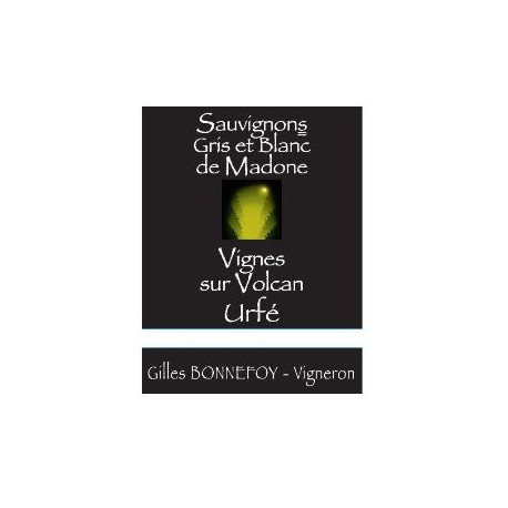 Les Vins de la Madone IGP Urfé "sauvignon gris et blanc" blanc sec 2021 etiquette