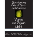 Les Vins de la Madone IGP Urfé "sauvignon gris et blanc" blanc sec 2021 etiquette