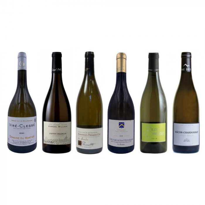 Bourgogne Blanc Insolite bouteilles Bourgogne Blanc Insolite bouteilles
