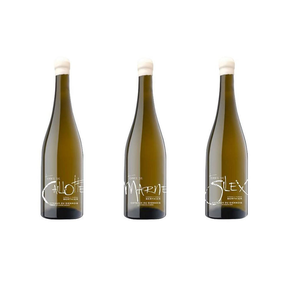 Domaine Berthier panaché Coteaux du Giennois "3 terroirs" dry white 2020 Domaine Berthier panaché Coteaux du Giennois "3 terroirs" dry white 2020