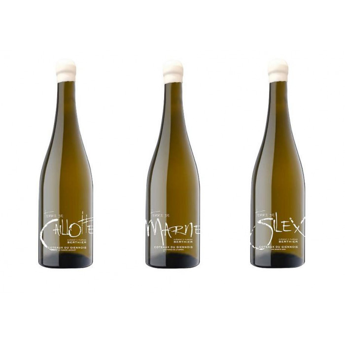 Domaine Berthier panaché Coteaux du Giennois "3 terroirs" dry white 2020 Domaine Berthier panaché Coteaux du Giennois "3 terroirs" dry white 2020