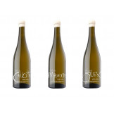 Domaine Berthier panaché Coteaux du Giennois "3 terroirs" blanc sec 2020 bouteilles