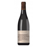 Les Vins de Vienne Heluicum rouge 2020 bouteille