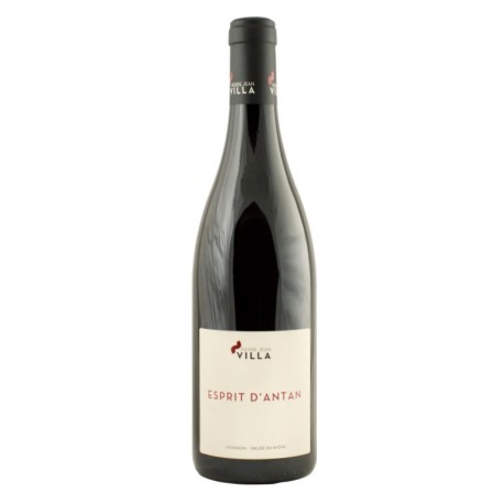 Domaine Pierre Jean Villa "Esprit d'Antan" 2020 bouteille Domaine Pierre Jean Villa "Esprit d'Antan" 2020 bouteille