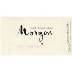 Domaine Jean Foillard Morgon "Eponym" rouge 2021 bouteille 2