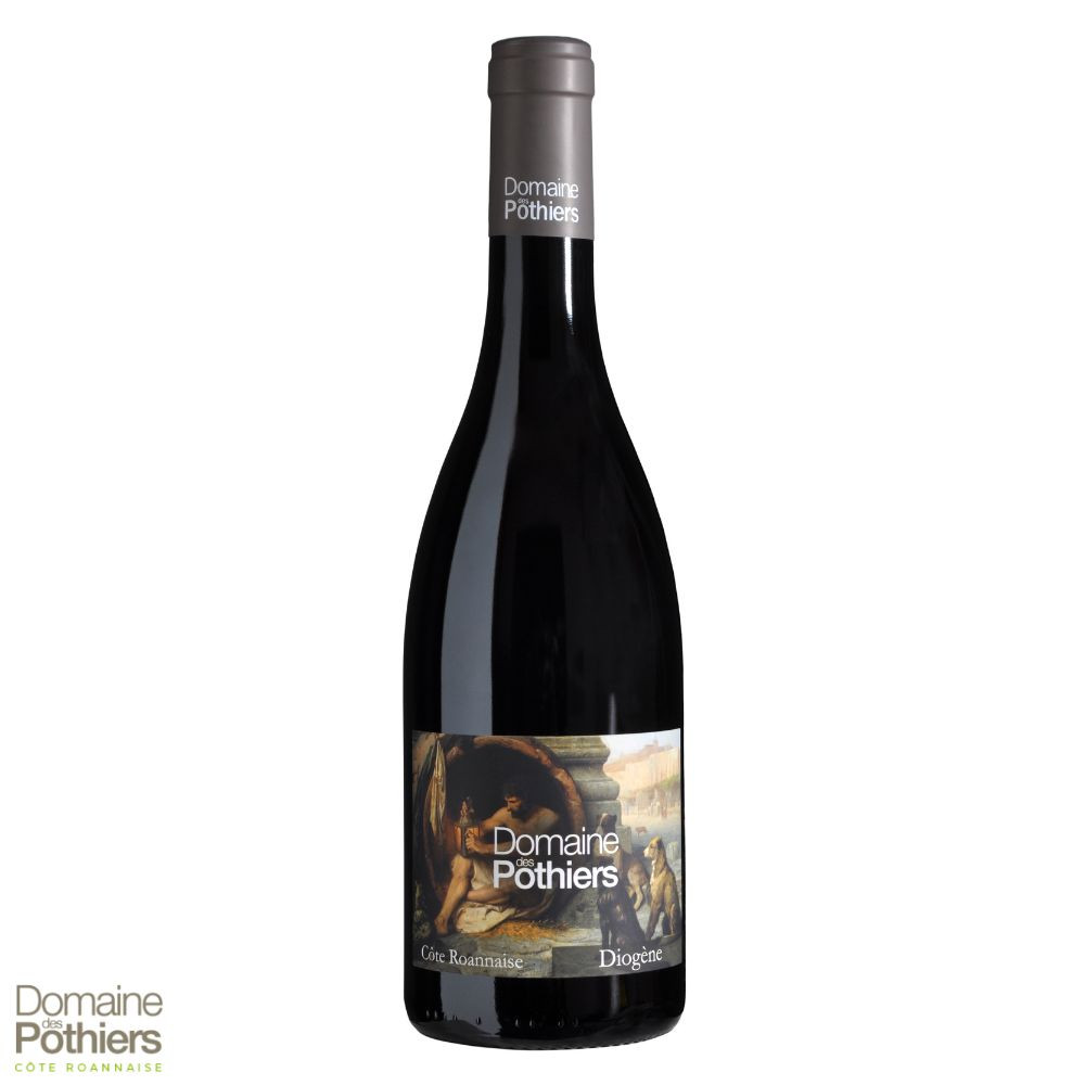 Domaine des Pothiers Côte Roannaise "Diogène" rouge 2021 bouteille Domaine des Pothiers Côte Roannaise "Diogène" rouge 2021 bouteille