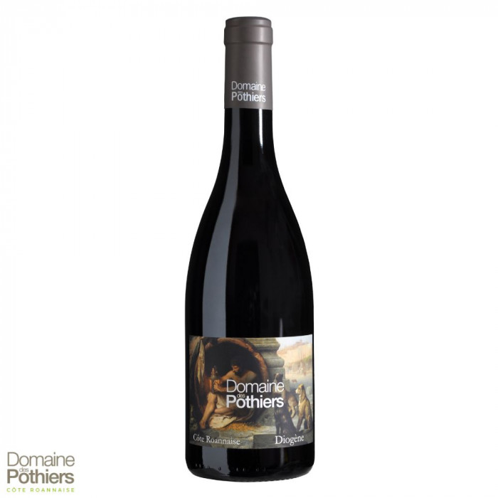 Domaine des Pothiers Côte Roannaise "Diogène" rouge 2021 bouteille Domaine des Pothiers Côte Roannaise "Diogène" rouge 2021 bouteille