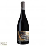 Domaine des Pothiers Côte Roannaise "Diogène" rouge 2021 bouteille