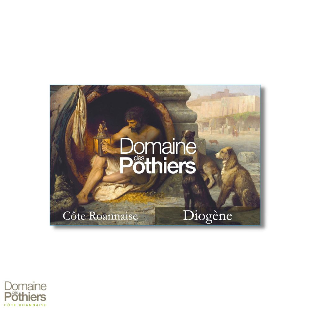 Domaine des Pothiers Côte Roannaise "Diogène" rouge 2021 etiquette
