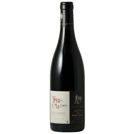 Domaine des Roches Neuves Saumur Champigny Terres Chaudes 2021 bouteille