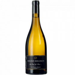 JP et JF Quenard Chignin "Anne de la Biguerne" (altesse) dry white 2022
