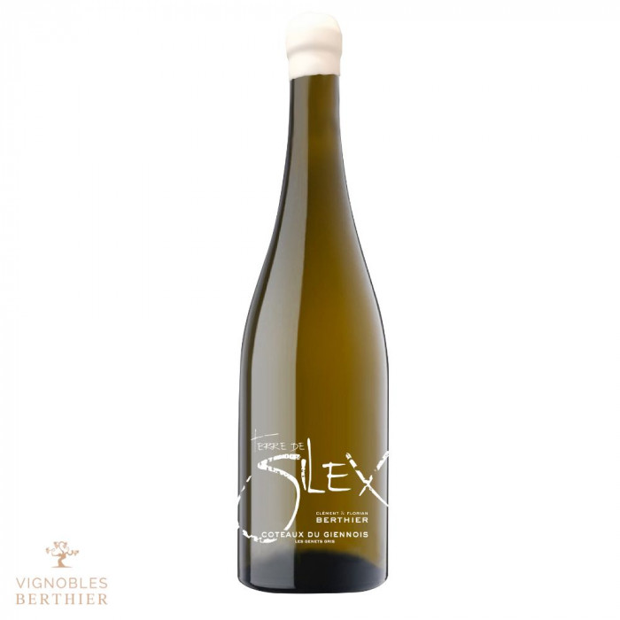 Domaine Berthier Coteaux du Giennois "Terre de Silex" dry white 2021 Domaine Berthier Coteaux du Giennois "Terre de Silex" dry white 2021