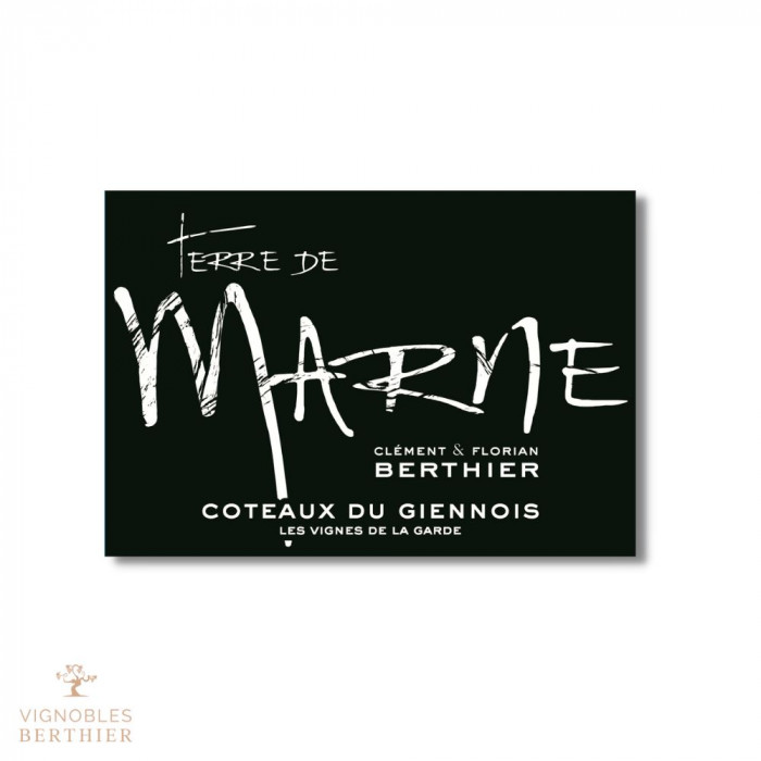 Domaine Berthier Coteaux du Giennois "Terre de Marne" blanc sec 2021