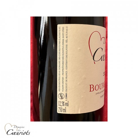 Domaines des Coeuriots Bourgogne Pinot noir rouge 2022 2