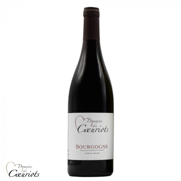 Domaines des Coeuriots Bourgogne Pinot noir red 2022 Domaines des Coeuriots Bourgogne Pinot noir red 2022