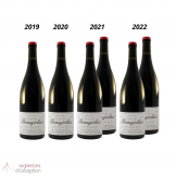 Panaché Beaujolais Yvon Métras