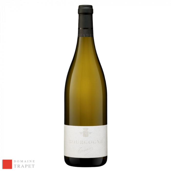 Domaine Trapet Bourgogne dry white 2021 Domaine Trapet Bourgogne dry white 2021
