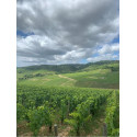 Domaine Henri et Gilles Buisson Saint-Romain "Sous Roche" rouge 2020 parcelle