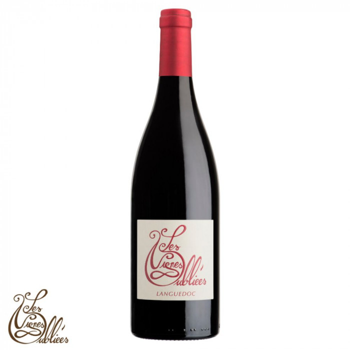 Les Vignes Oubliées "Autour du Cinsault" rouge 2022 Les Vignes Oubliées "Autour du Cinsault" rouge 2022