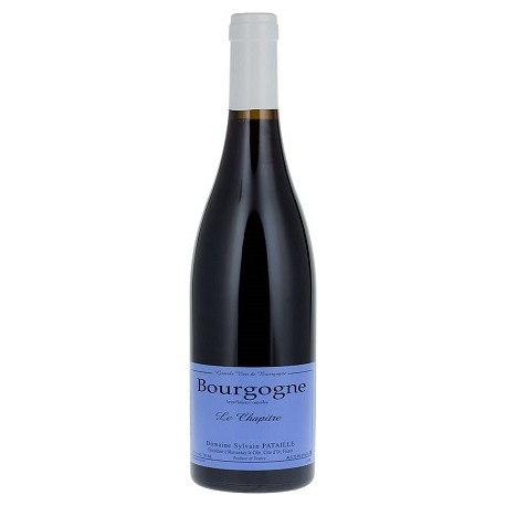 Domaine Sylvain Pataille Bourgogne Le Chapitre rouge 2021 bouteille Domaine Sylvain Pataille Bourgogne Le Chapitre rouge 2021 bouteille