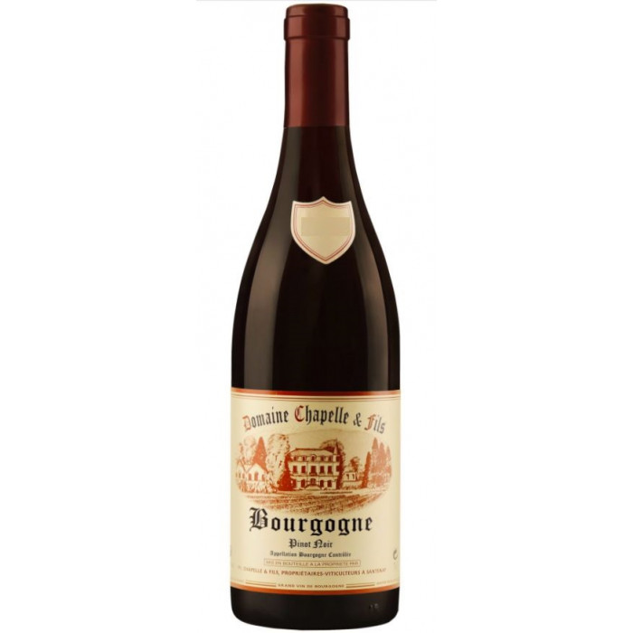 Domaine Jean-François Chapelle Bourgogne "Pinot Noir" rouge 2022 Domaine Jean-François Chapelle Bourgogne "Pinot Noir" rouge 2022