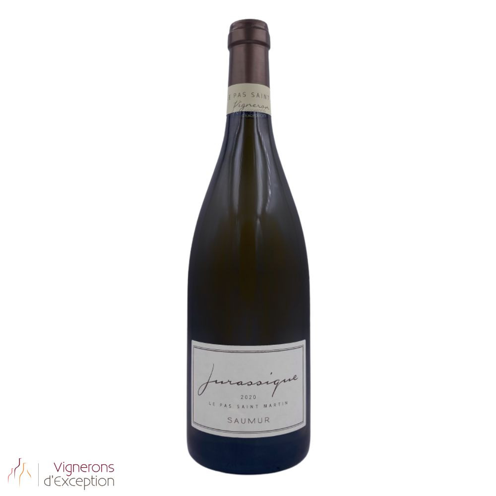 Domaine Le Pas Saint Martin Saumur "Jurassique" blanc sec 2021 bouteille Domaine Le Pas Saint Martin Saumur "Jurassique" blanc sec 2021 bouteille