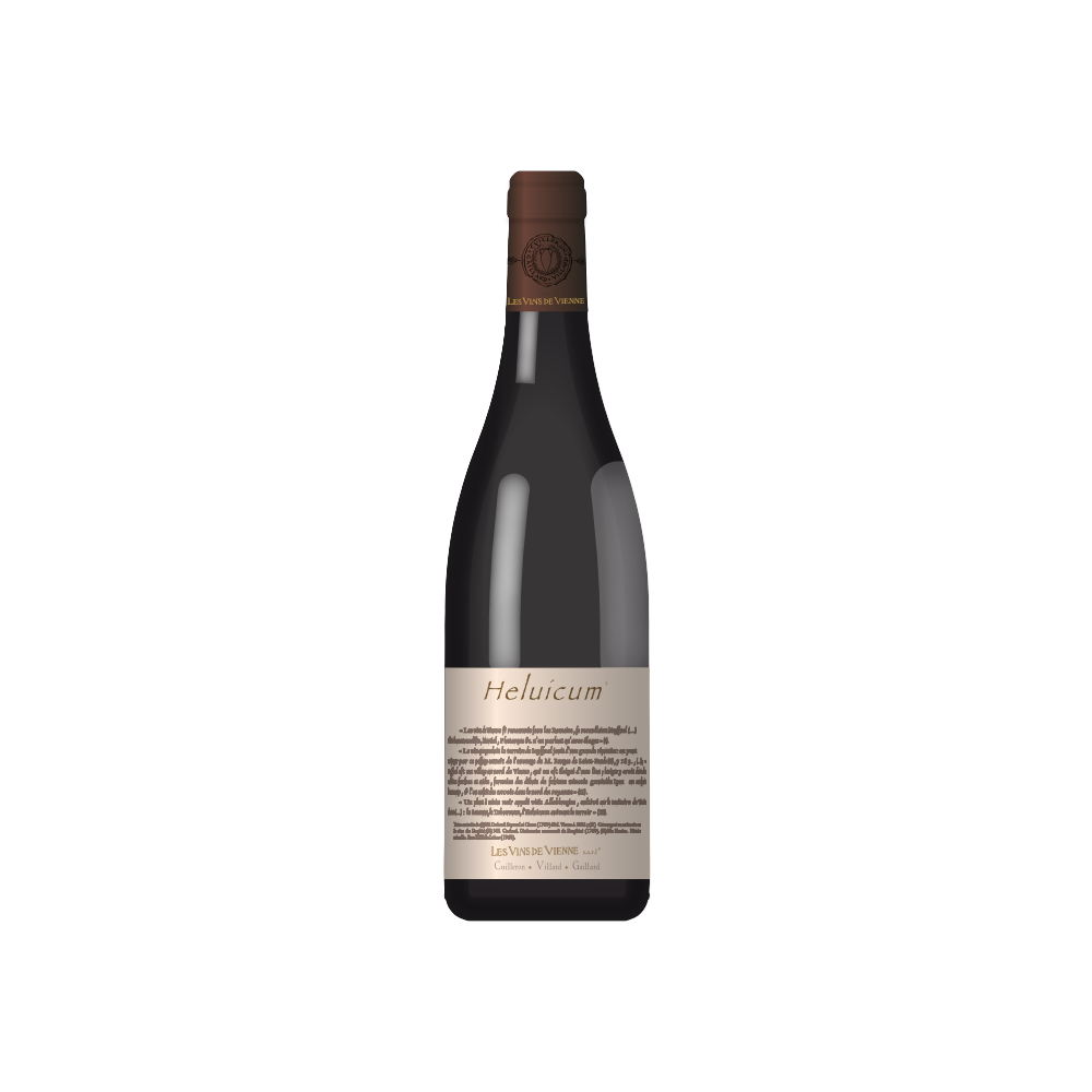 Les Vins de Vienne Heluicum rouge 2020 bouteille Les Vins de Vienne Heluicum rouge 2020 bouteille