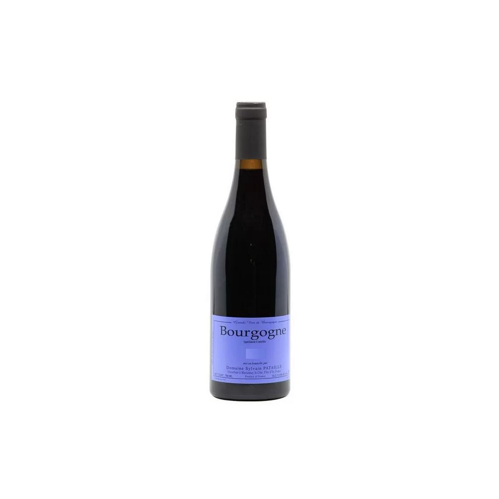 Domaine Sylvain Pataille Bourgogne rouge 2022 bouteille