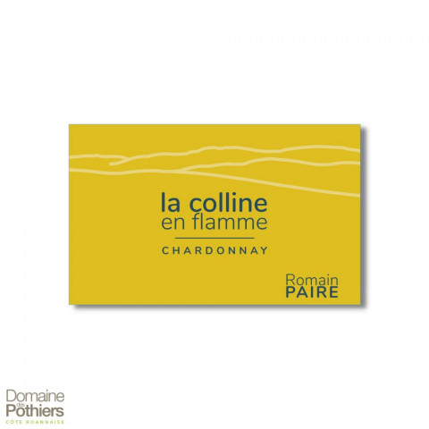 R. Paire (Pothiers) VdF "Colline en flammes" blanc sec 2023 bouteille 2