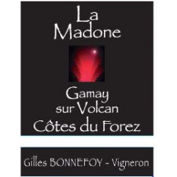 Les Vins de la Madone Côtes du Forez "gamay sur volcan" rouge 2022 bouteille 2