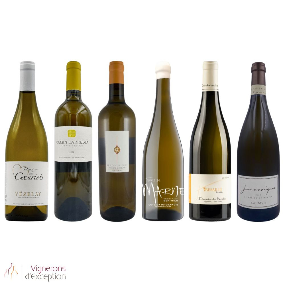 Découverte du Vin Blanc Bio Découverte du Vin Blanc Bio